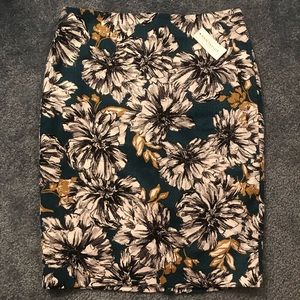 NWT Ann Taylor Factory Pencil Skirt - Size 6